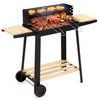Grill węglowy z regulacją wysokości, grill ogrodowy z widelcami i rusztem, przenośny