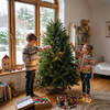 Choinka sztuczna Premium Royal Trees 150 cm świerk kaukaski, drzewko świąteczne