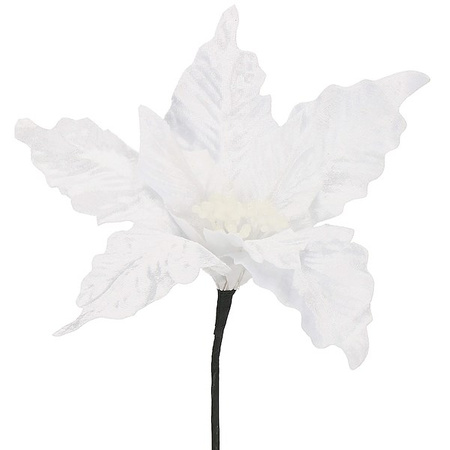 Poinsecja sztuczny kwiat, gwiazda betlejemska biała