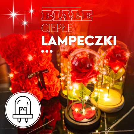 Wieczna róża w kloszu 22 cm świecąca ozdoba LED na prezent czerwona