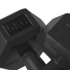 Ciężarki HEX 10kg czarne 2x5kg