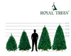 Sztuczna choinka sosna leśna 220 cm jak żywa Royal Trees premium z drewnianym stojakiem